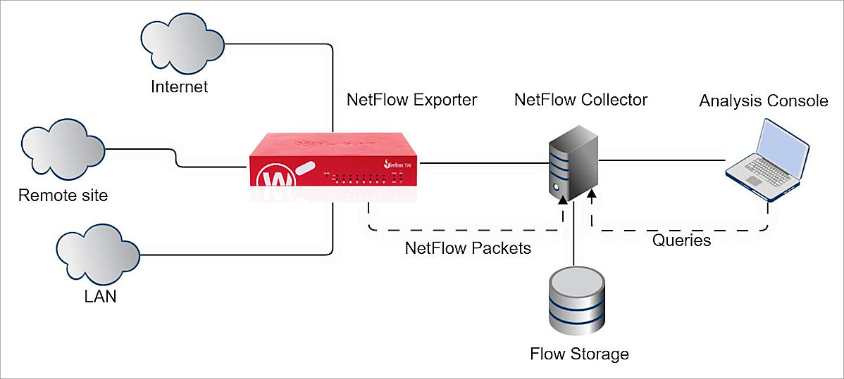 Typical NetFlow topology diagram